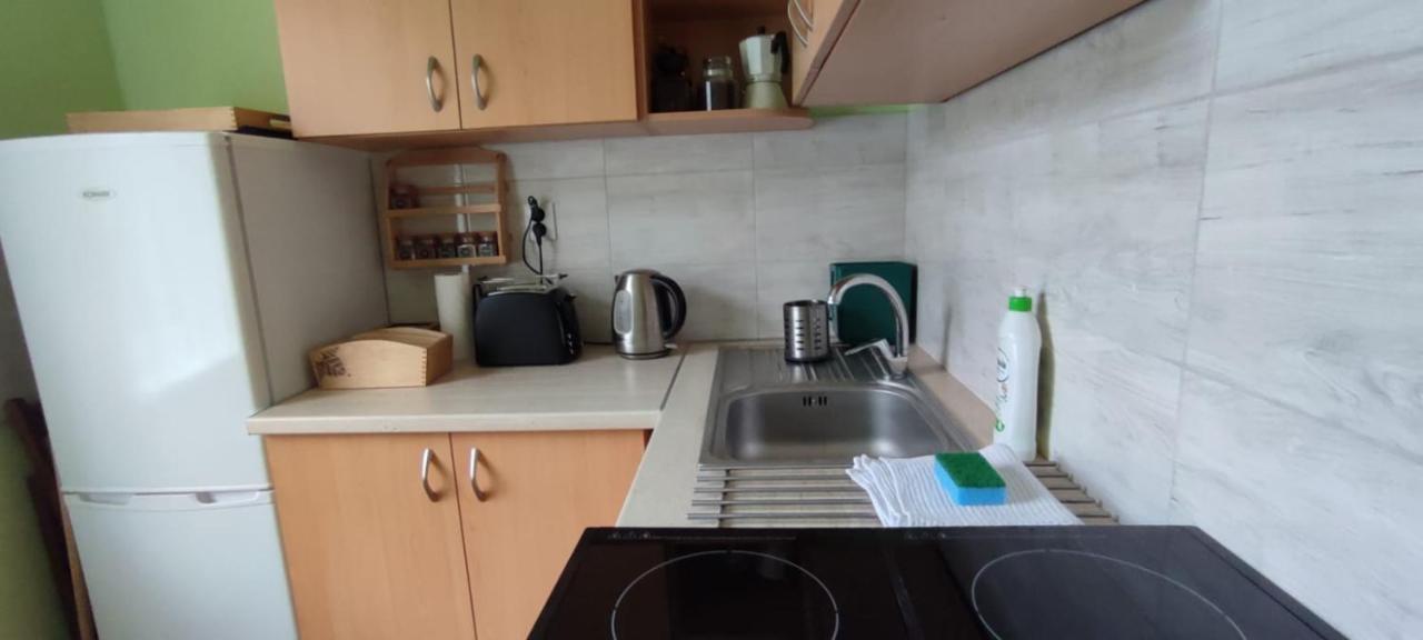 דירות Gornica Zacisze Pod Bukami מראה חיצוני תמונה